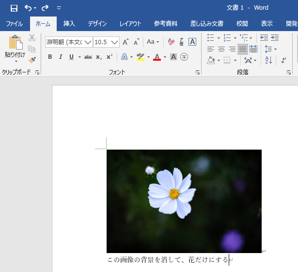 ワード エクセル 画像や写真の背景を削除 透明化する方法 もりのくまのサクサクoffice