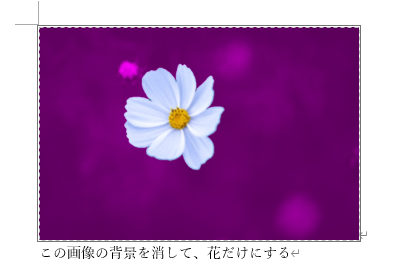 きれいに花以外を紫色にできた