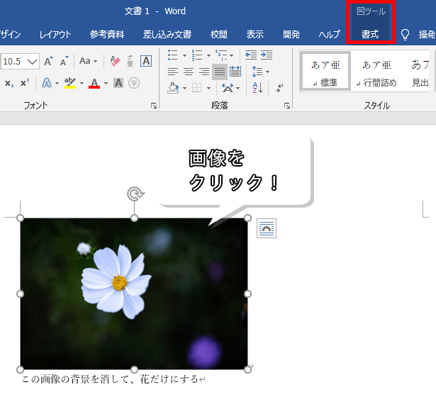 ワード エクセル 画像や写真の背景を削除 透明化する方法 もりのくまのサクサクoffice