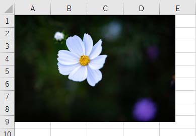 Excel・エクセル】写真を加工できる？画像の編集方法  もりのくまの 