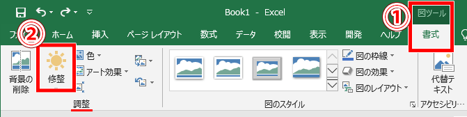 Excel・エクセル】写真を加工できる？画像の編集方法  もりのくまの 