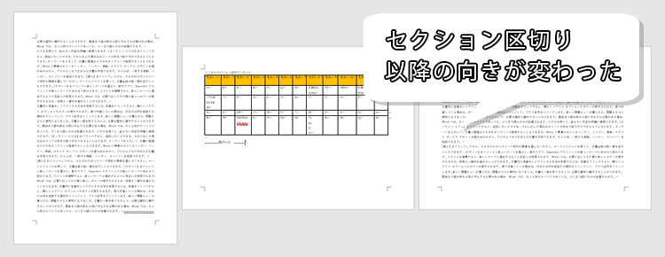 セクション 区切り 削除