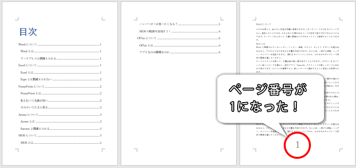 途中から入れたページ番号が「1」からになった画像