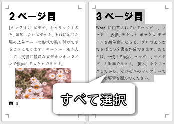 移動したいページを全部選択した画像